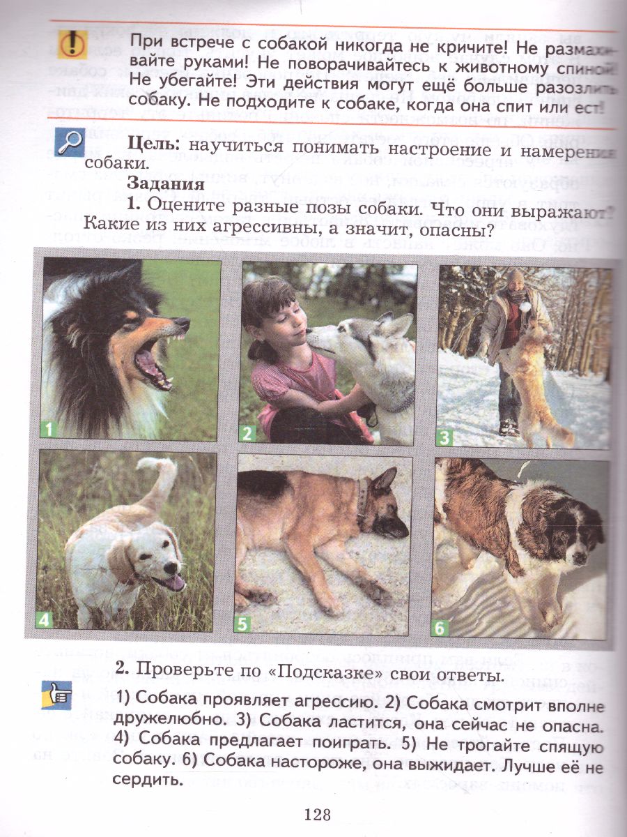 Обложка книги ОБЖ 5-7 класс. Учебник. ФГОС, Автор Виноградова Н.Ф. Смирнов Д.В. Сидоренко Л.В., издательство Просвещение | купить в книжном магазине Рослит