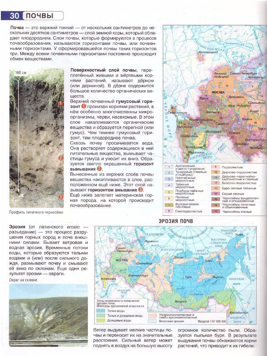 Обложка книги География России 8 класс. Природа и население. Атлас + контурные карты и сборник задач. ФГОС, Автор Крылова О.В., издательство АСТ | купить в книжном магазине Рослит