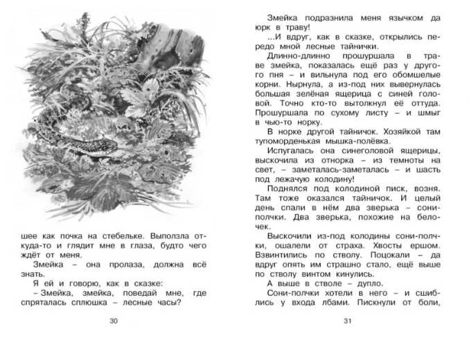 Обложка Лесные тайнички. Чтение - лучшее учение, издательство Махаон | купить в книжном магазине Рослит