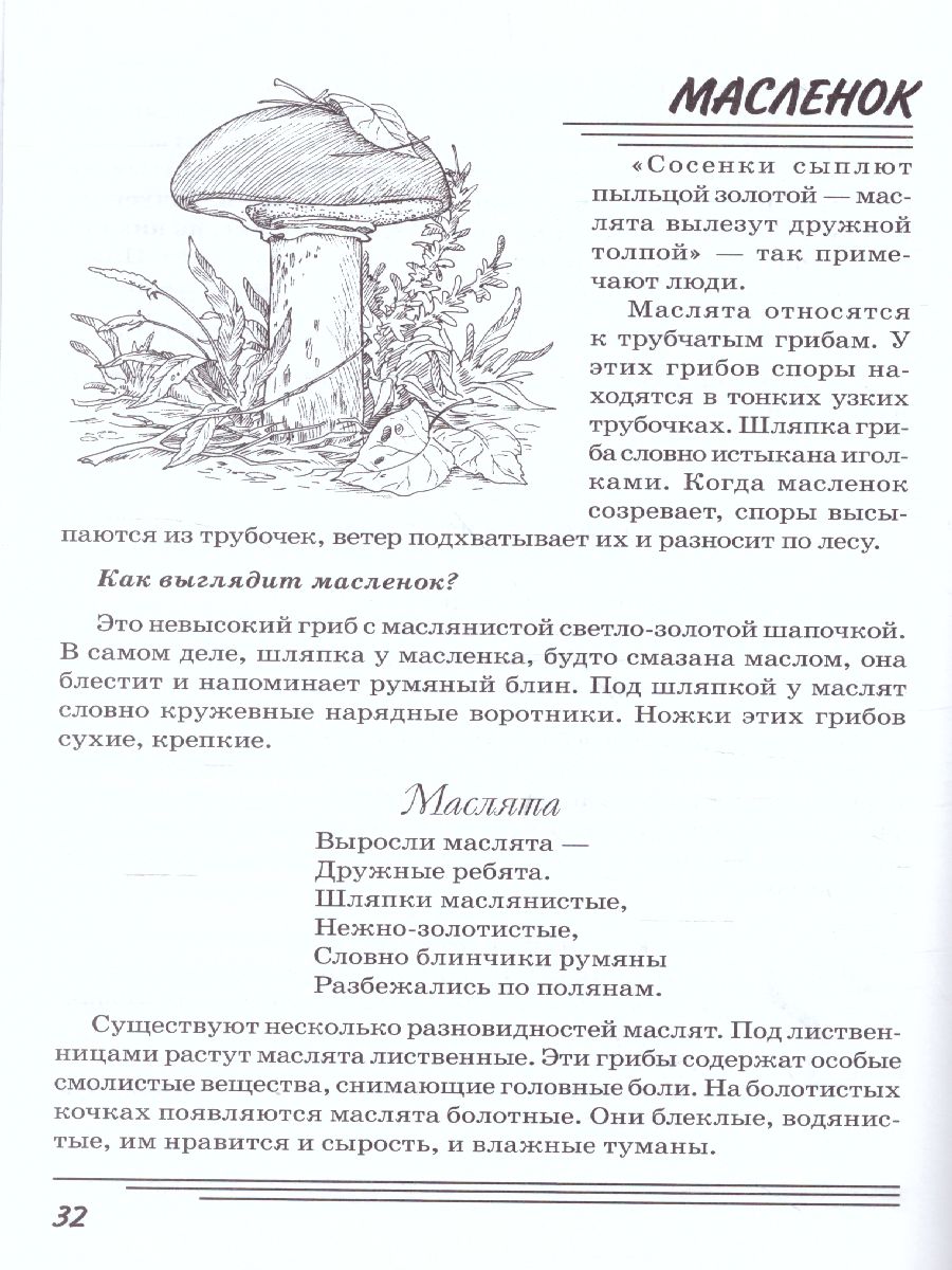 Обложка книги Грибы. Какие они? Знакомство с окружающим миром, развитие речи, Автор Шорыгина Т.А., издательство ГНОМ | купить в книжном магазине Рослит