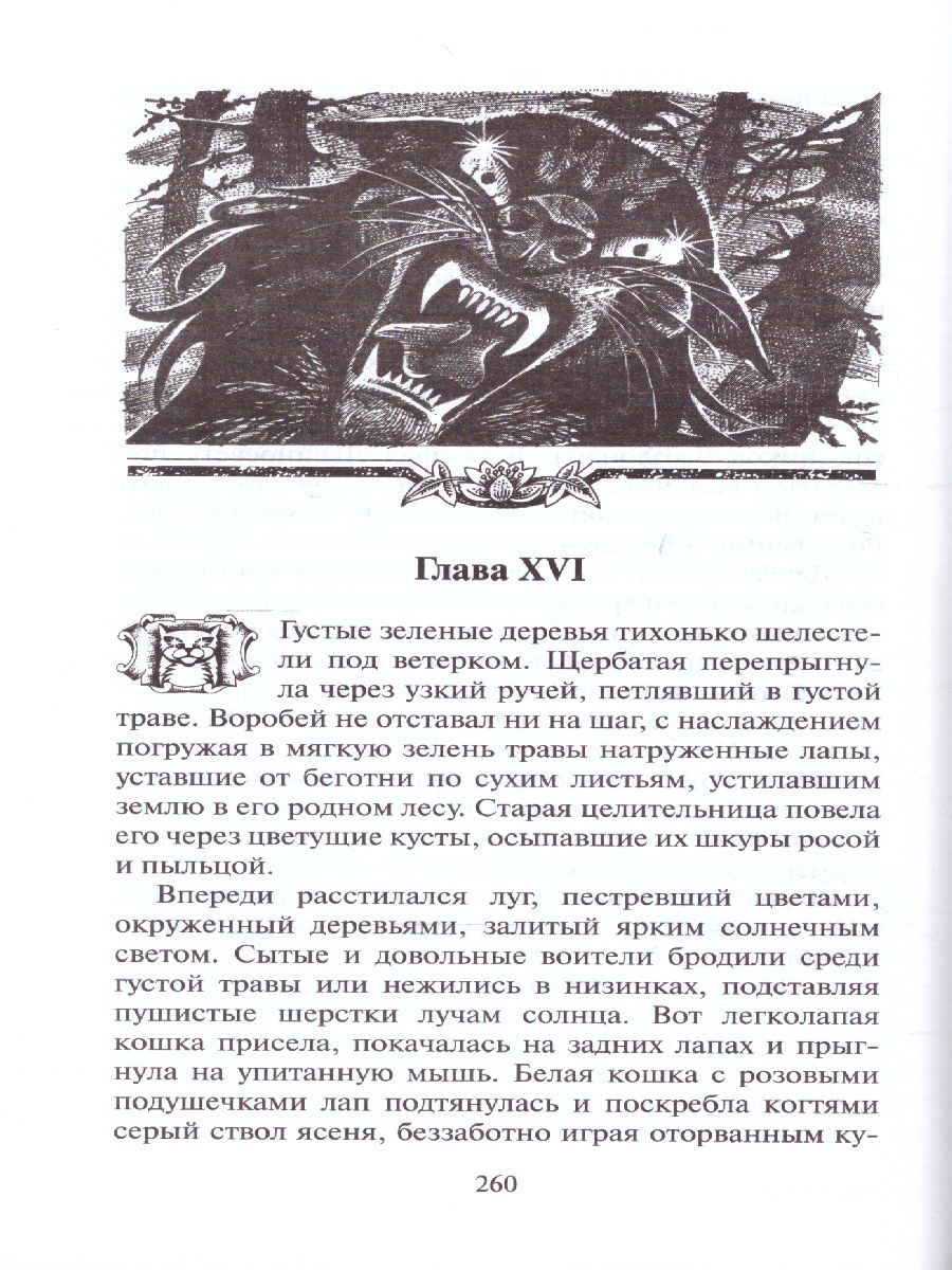 Обложка Долгое эхо.Коты - воители, издательство Просвещение/Союз                                   | купить в книжном магазине Рослит