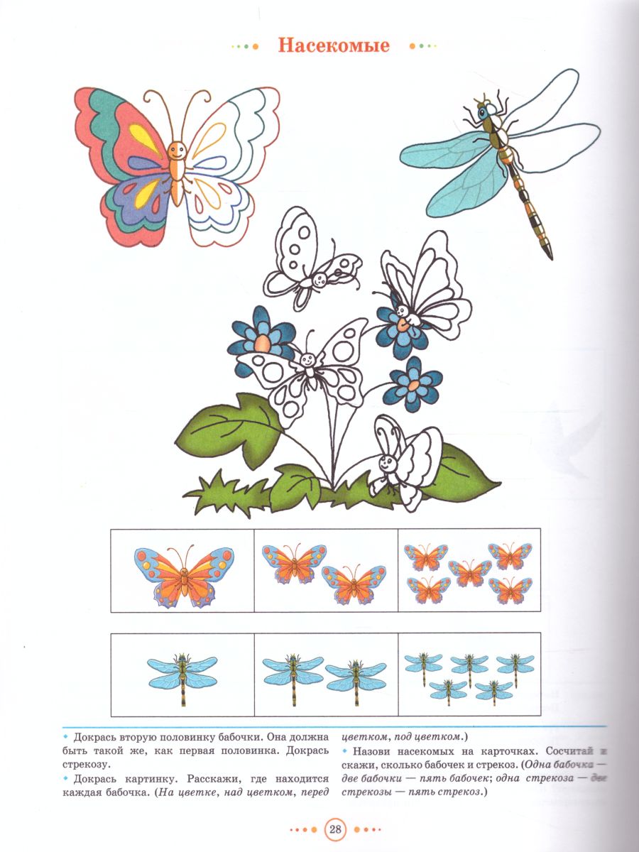 Обложка книги Тетрадь для детей среднего дошкольного возраста с ОНР 4-5 лет. Средняя группа. НОВЫЕ ЦВЕТНЫЕ. ФГОС, Автор Нищева Н.В., издательство ДЕТСТВО-ПРЕСС | купить в книжном магазине Рослит