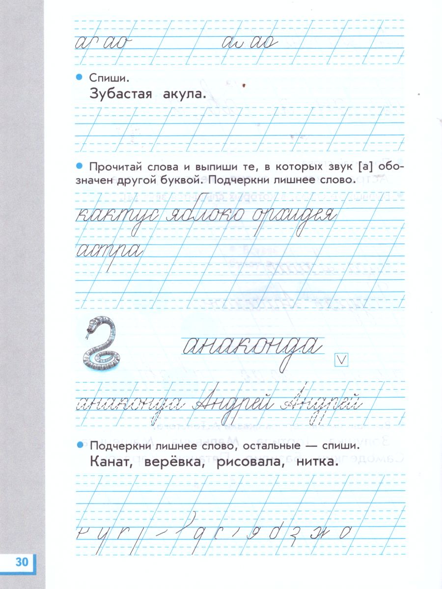 Обложка книги Прописи для читающих детей к Букварю Т. М. Андриановой 1 класс. В 4-х тетрадях. Тетрадь №1. ФГОС, Автор Илюхина В.А., издательство Просвещение/Союз                                   | купить в книжном магазине Рослит