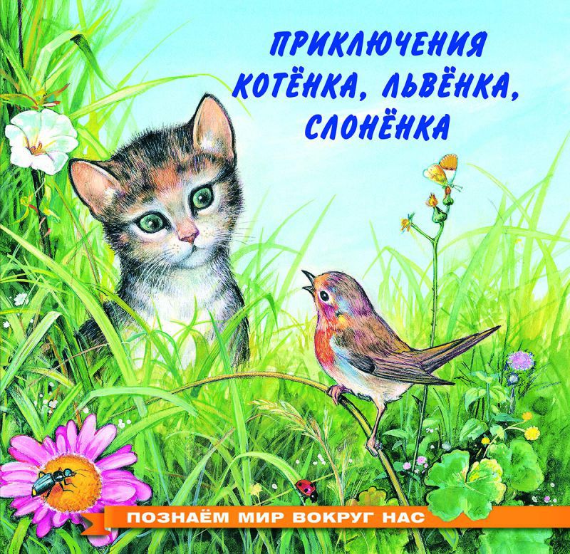Обложка Познаем мир вокруг нас / Приключения котенка, издательство Фламинго | купить в книжном магазине Рослит