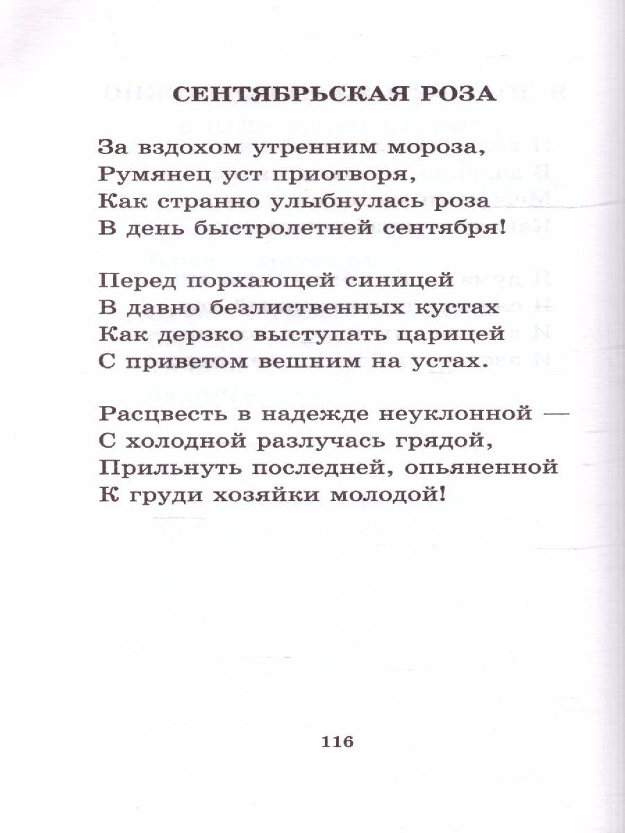 картинка Русская поэзия XIX века от магазина Рослит