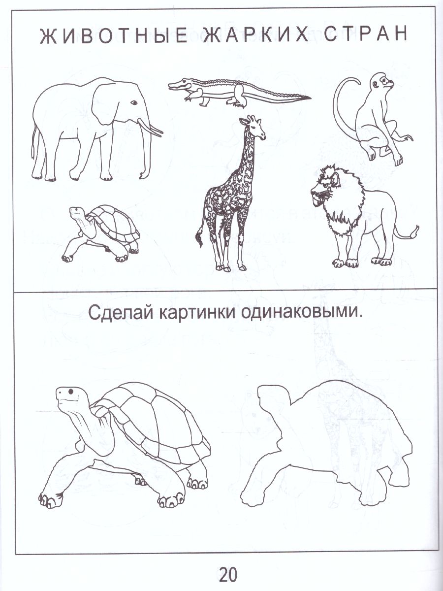 Обложка книги Знакомство с Окружающим миром. Часть 2. Природа Рабочая тетрадь для детей 4-6 лет, Автор , издательство Солнечные ступеньки | купить в книжном магазине Рослит