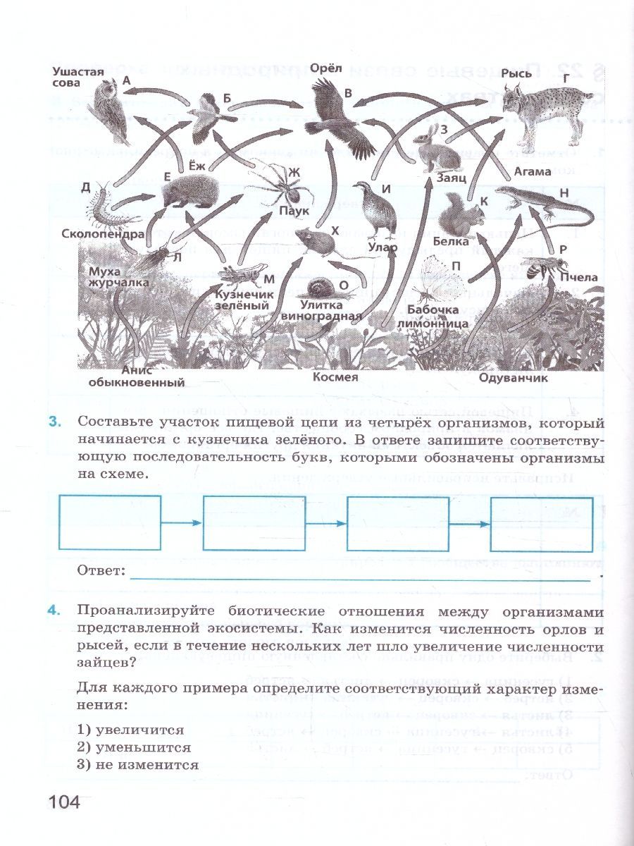 Обложка книги Биология 5 класс. Рабочая тетрадь к учебнику. ФГОС Новый, Автор Богданов Н. А., издательство Экзамен | купить в книжном магазине Рослит