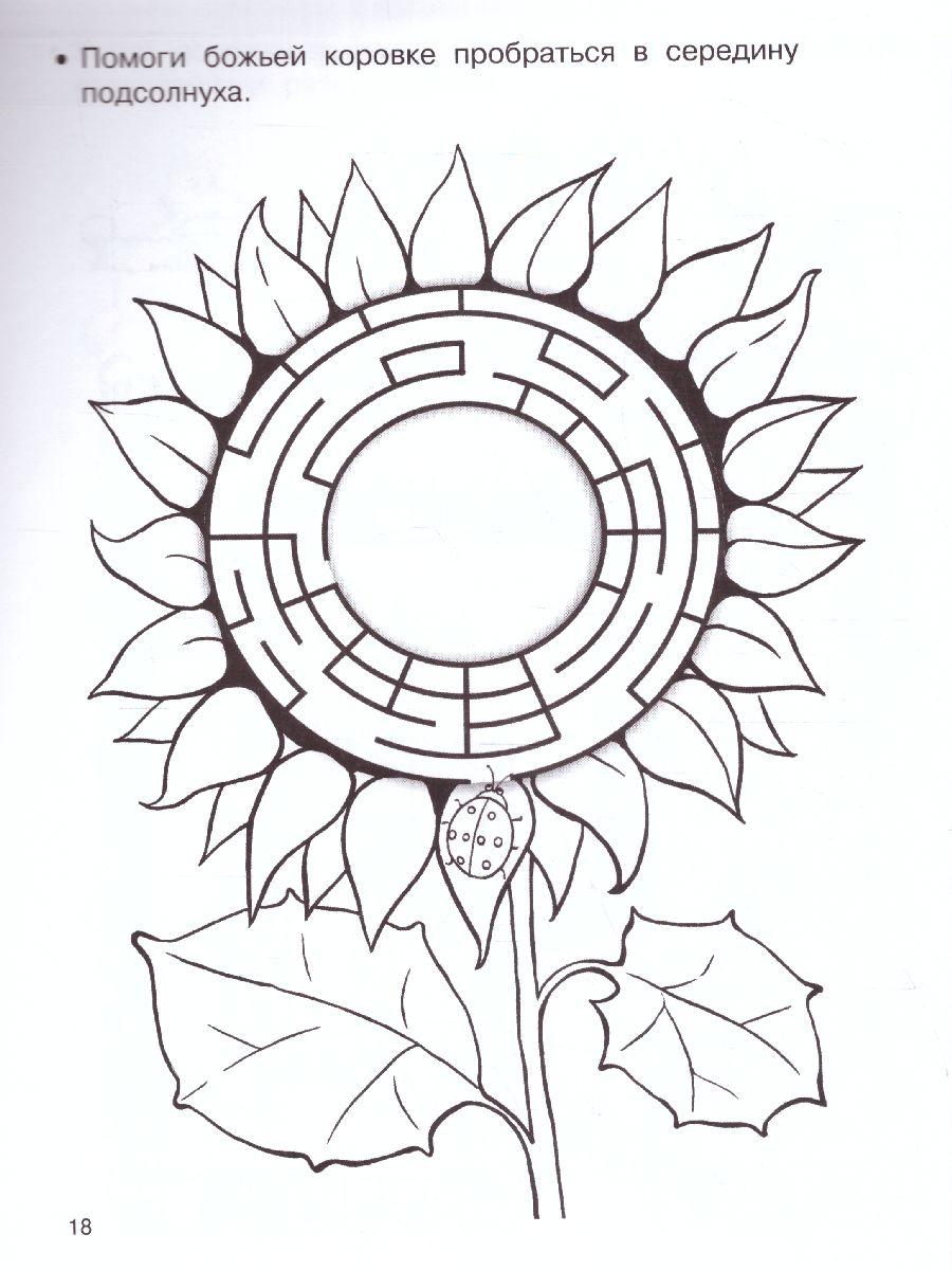 Обложка книги Занимательные лабиринты: развиваем внимание. 555 заданий для дошколят, Автор Дмитриева В. Г., издательство АСТ | купить в книжном магазине Рослит