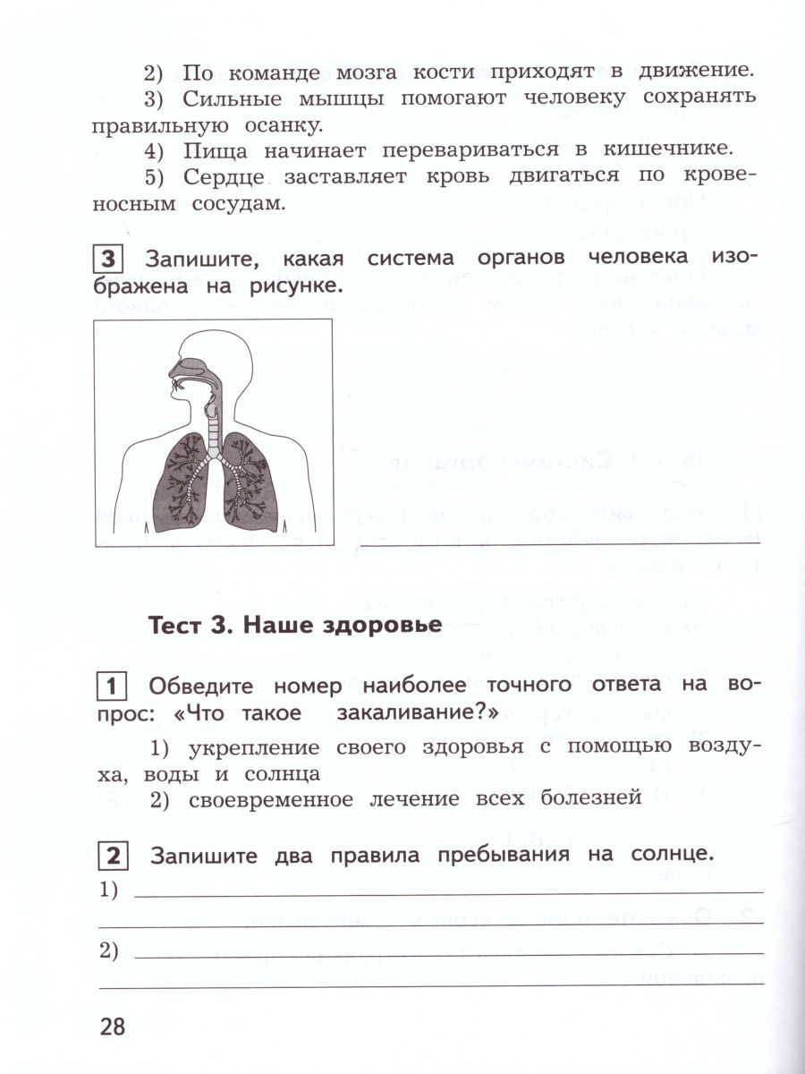 Обложка книги Окружающий мир 3 класс. Предварительный, текущий, итоговый контроль, Автор Глаголева Ю.И. Архипова Ю.И., издательство Просвещение/Союз                                   | купить в книжном магазине Рослит