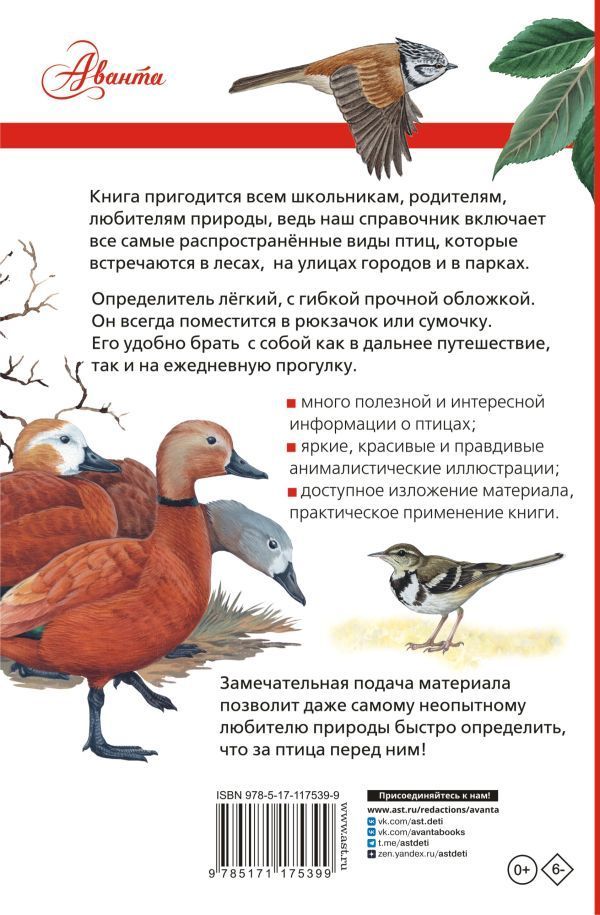 Обложка Птицы России, издательство АСТ | купить в книжном магазине Рослит