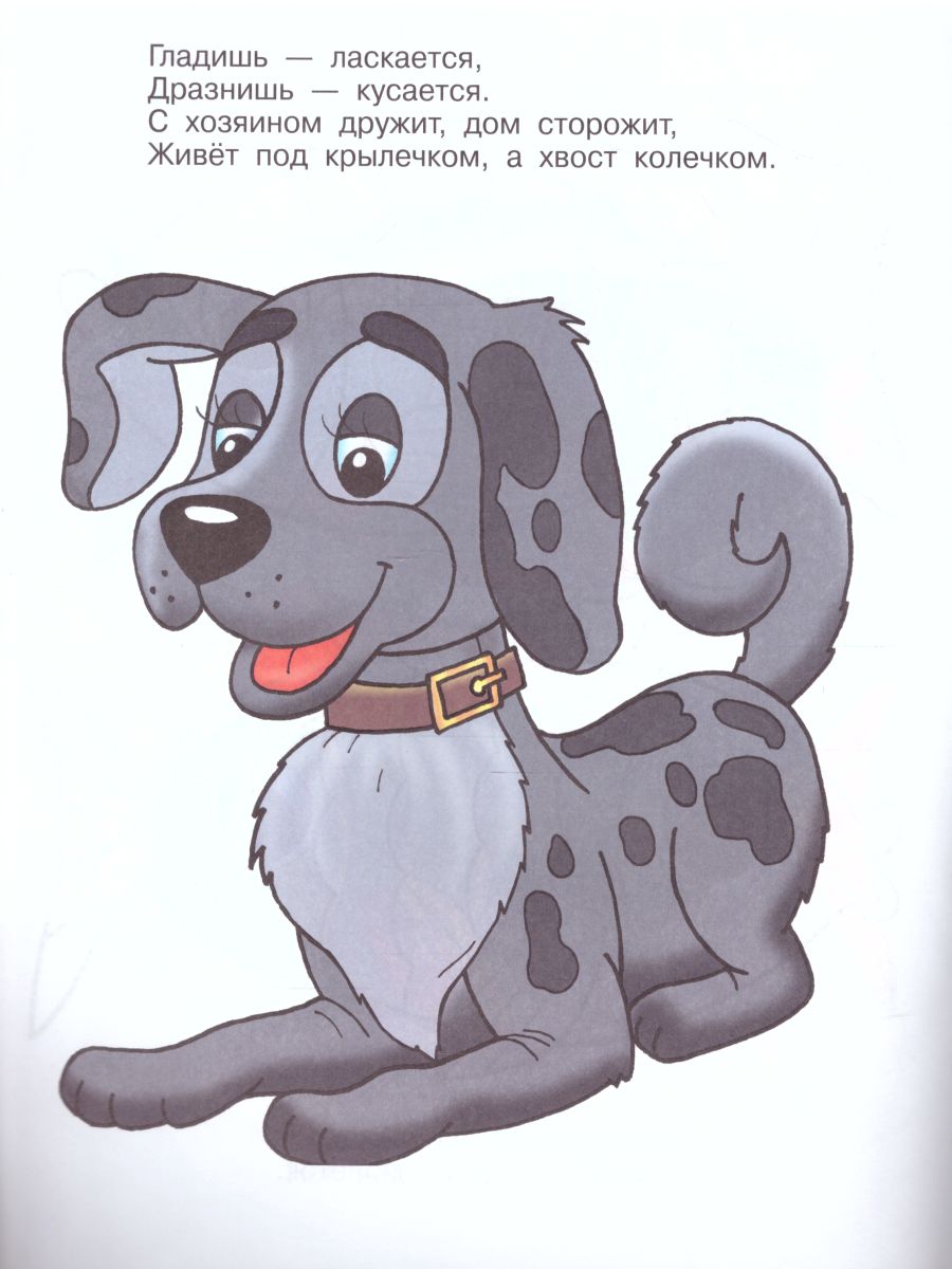 Обложка Загадки. Книжка с раскраской, издательство Самовар | купить в книжном магазине Рослит