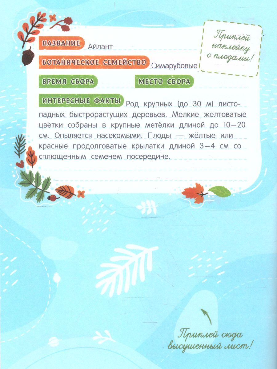 Обложка Собирай! Мой гербарий: книжка с наклейками /Мои первые открытия, издательство Феникс-Премьер                                     | купить в книжном магазине Рослит