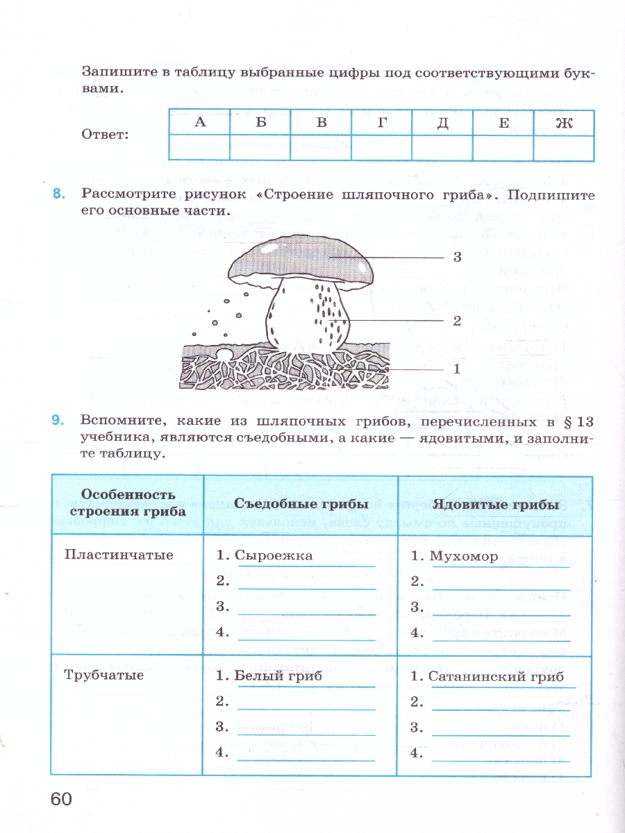 Обложка книги Биология 5 класс. Рабочая тетрадь. ФГОС, Автор Богданов Н. А., издательство Экзамен | купить в книжном магазине Рослит