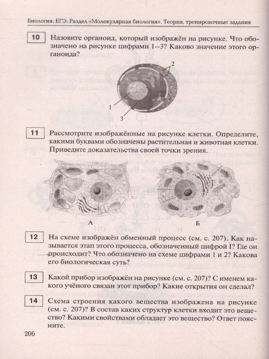 Обложка книги ЕГЭ-2021. Биология 11 класс. Раздел Молекулярная Биология. Тренировочная тетрадь, Автор Кириленко А.А., издательство ЛЕГИОН | купить в книжном магазине Рослит