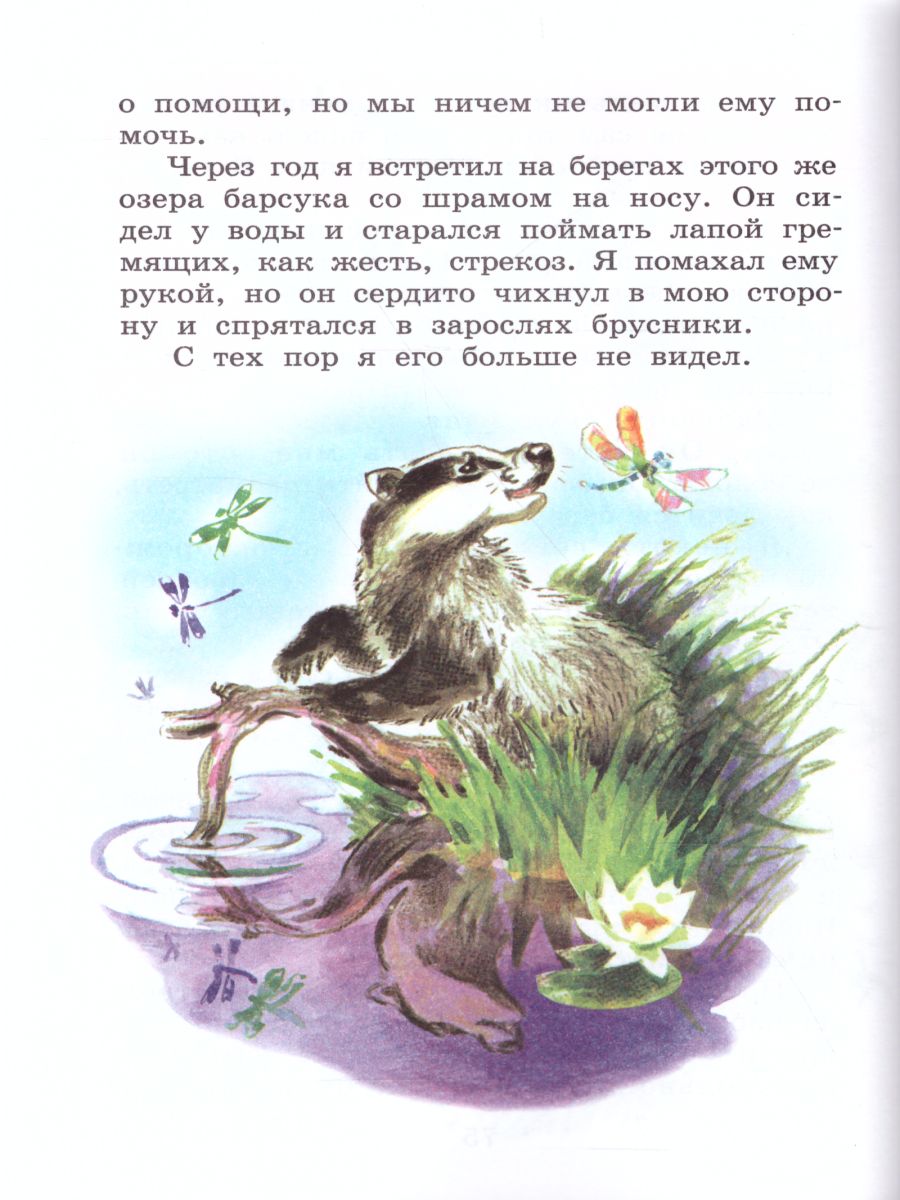 Обложка Рассказы о природе /ШБ, издательство Самовар | купить в книжном магазине Рослит
