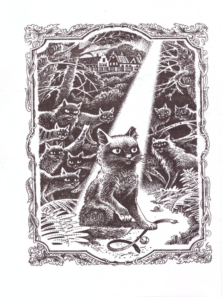 Обложка Коты-воители. Цикл "Воители". Стань диким!, издательство Просвещение/Союз                                   | купить в книжном магазине Рослит