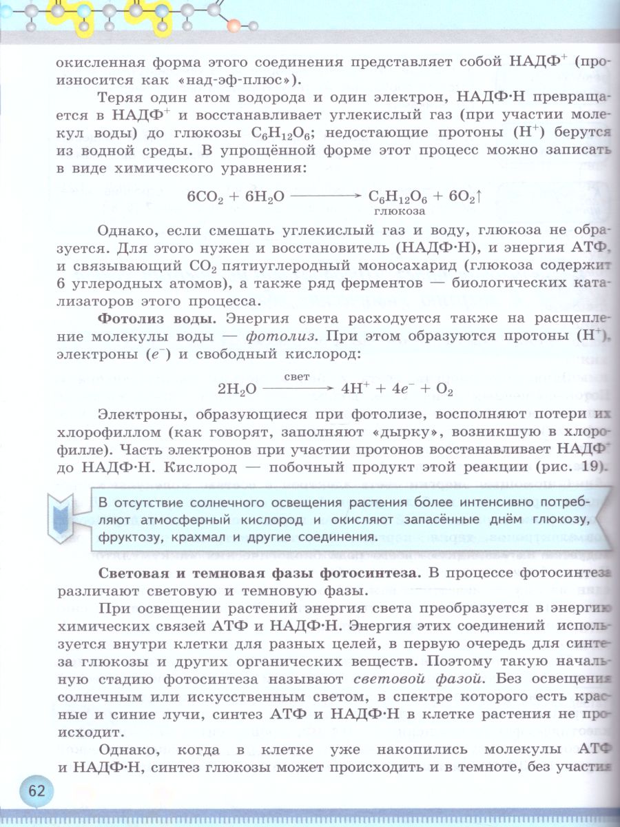 Обложка книги Биология 10 класс. Общая биология. Учебник. Базовый уровень. ФГОС, Автор Беляев Д.К. Дымшиц Г.М., издательство Просвещение | купить в книжном магазине Рослит