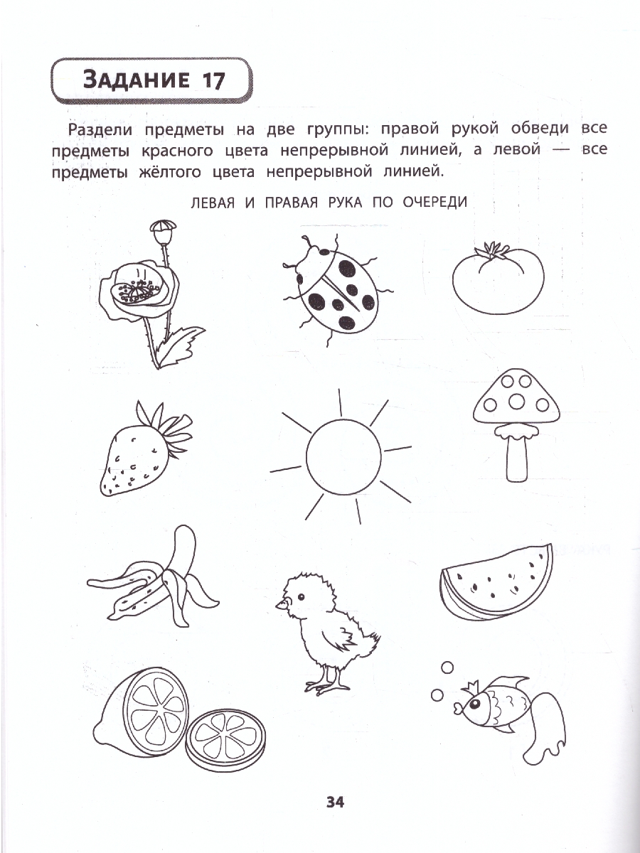 Обложка книги Правая,левая,вместе! Межполушарное взаимодействие, Автор Гусева Е. О., издательство Феникс ТД                                          | купить в книжном магазине Рослит