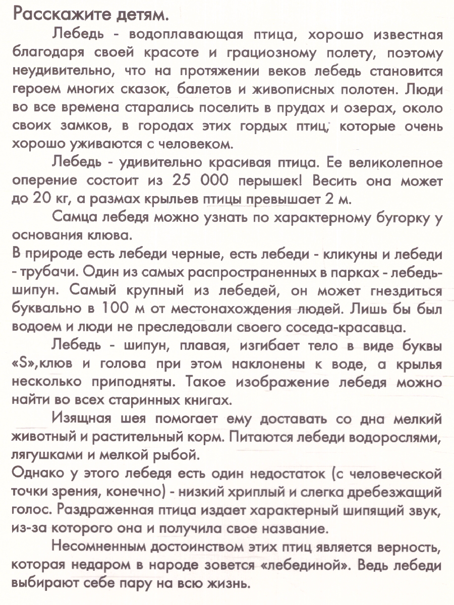 Обложка книги Дидактические карточки "Городские птицы" (уп. пакет) (Маленький гений-Пресс), Автор , издательство Маленький гений-Пресс | купить в книжном магазине Рослит