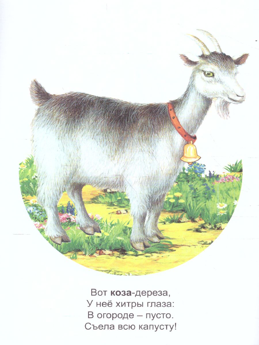 Обложка книги Раскраска Малышок "Домашние питомцы", Автор , издательство Страна фантазий | купить в книжном магазине Рослит