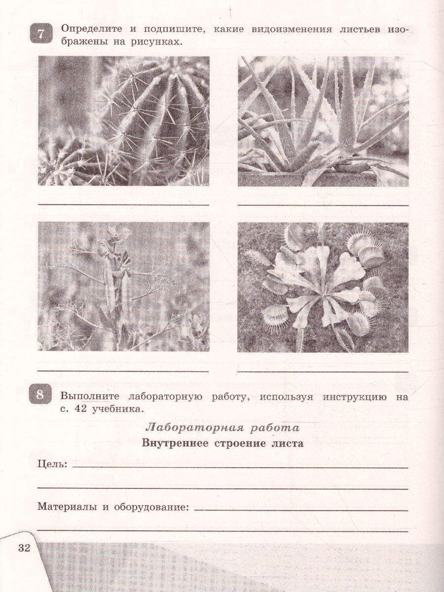 Обложка книги Биология 6 класс Рабочая тетрадь, Автор Сивоглазов В.И., издательство Просвещение | купить в книжном магазине Рослит