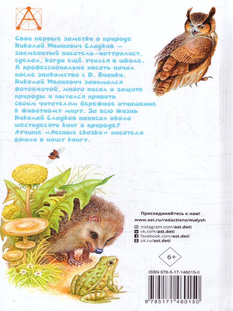 Обложка книги Сладков Н.И. Лесные сказки /Детское чтение, Автор Сладков Н.И., издательство АСТ | купить в книжном магазине Рослит