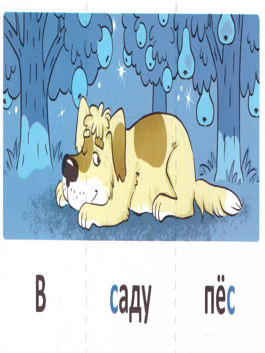 Обложка книги Играем со звуками Звуки [С] - [С']  (учебно-игровой комплект) (Сфера), Автор Танцюра С.Ю., издательство Сфера | купить в книжном магазине Рослит