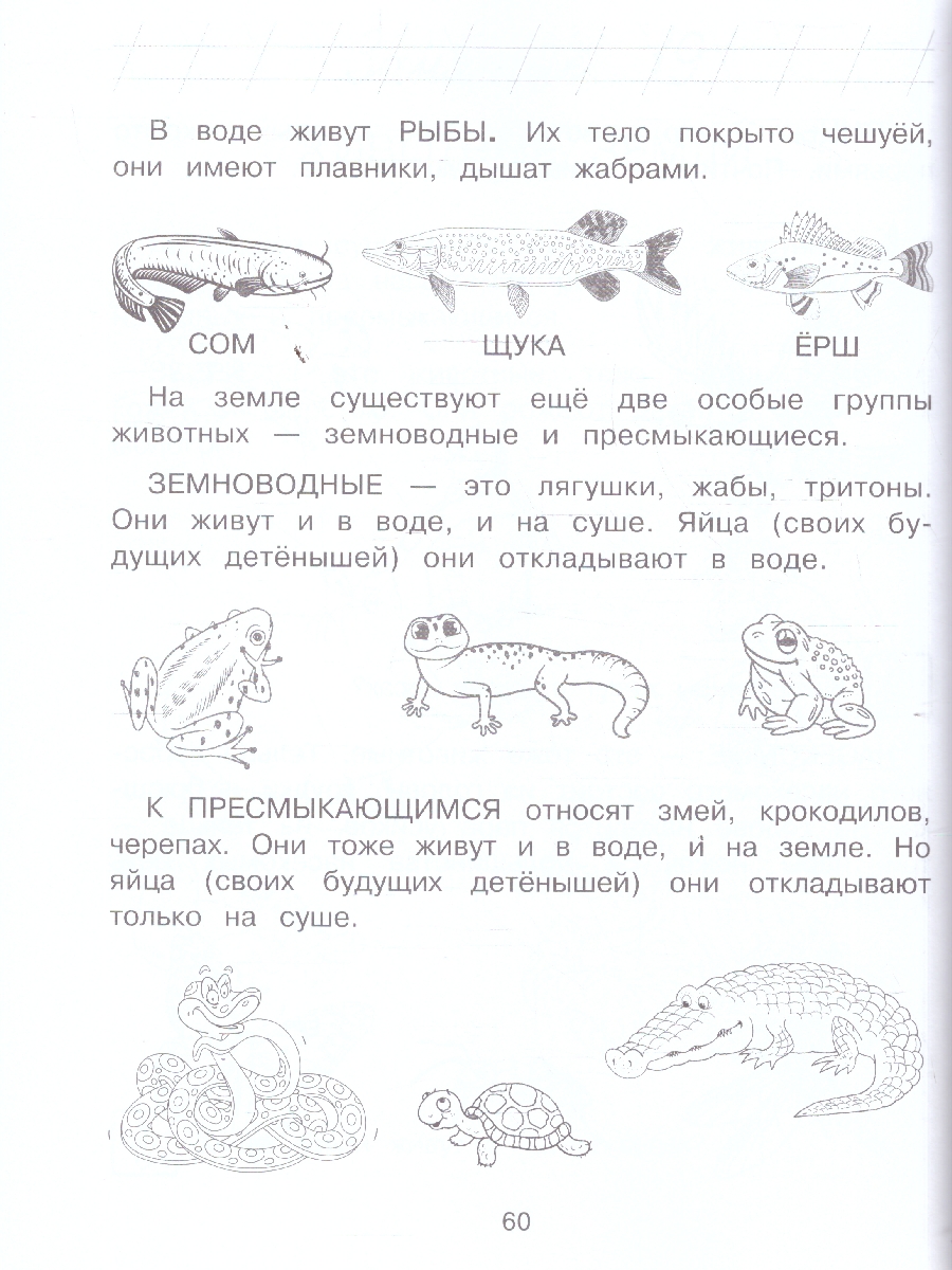 Обложка книги Изучаю мир вокруг. Для детей 6-7 лет. Ломоносовская школа. ФГОС, Автор Липская Н.М., издательство ЭКСМО | купить в книжном магазине Рослит
