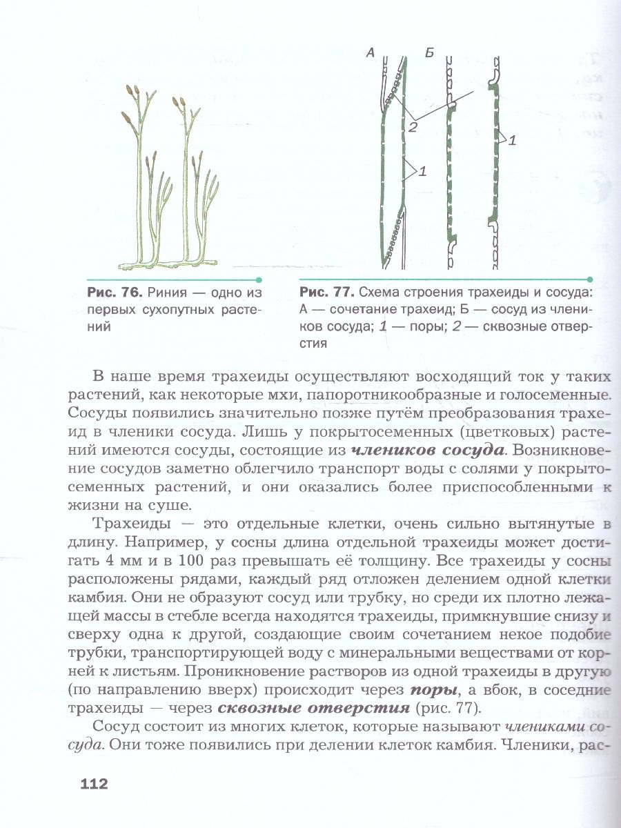 Обложка книги Биология 6 класс. Базовый уровень. Учебное пособие. ФГОС, Автор Пономарева И. Н. Корнилова О. А., издательство Просвещение | купить в книжном магазине Рослит