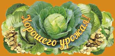 Обложка книги Конверт для денег Хорошего урожая!, Автор КД1-11334, издательство Сфера | купить в книжном магазине Рослит