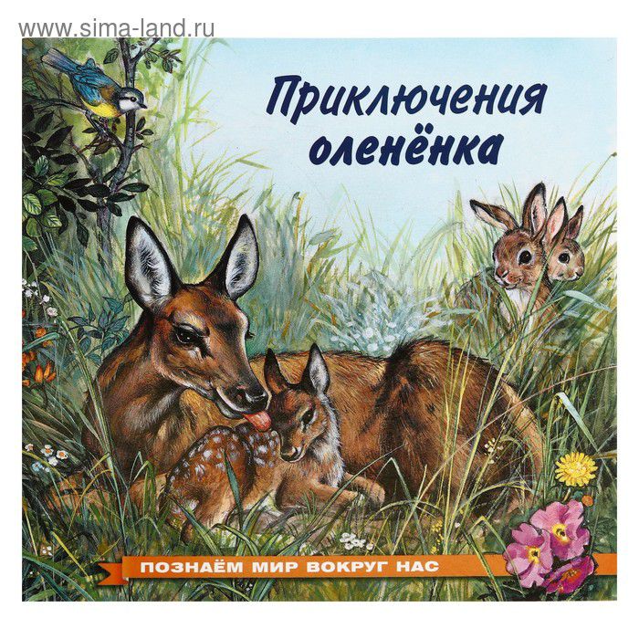 Обложка Познаем мир вокруг нас / Приключения олененка, издательство Фламинго | купить в книжном магазине Рослит