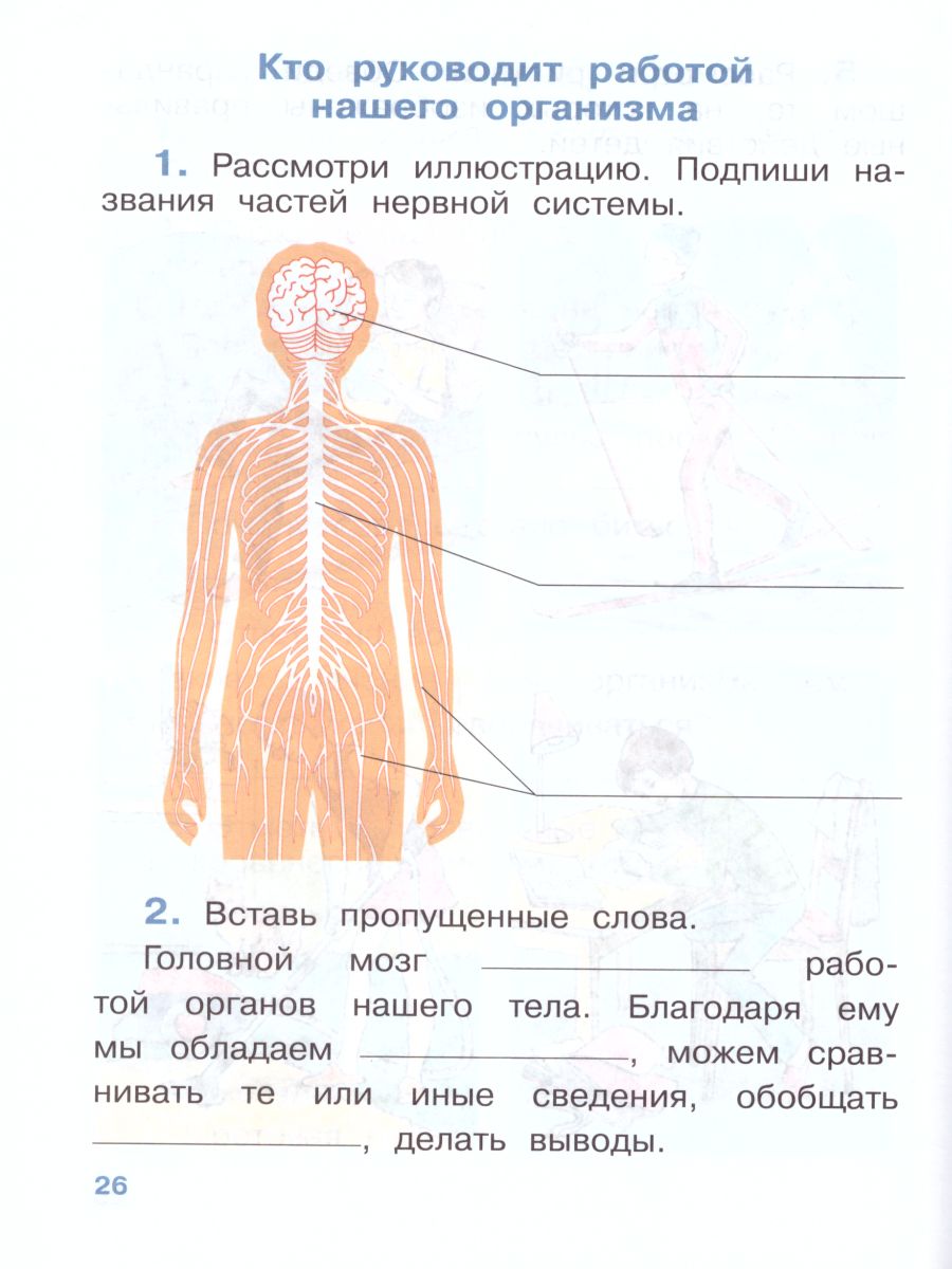 Обложка книги Окружающий мир 4 класс. Рабочая тетрадь. В 2-х частях. Часть 1. ФГОС, Автор Саплина Е.В. Саплин А.И. Сивоглазов В.И., издательство Просвещение/Союз                                   | купить в книжном магазине Рослит