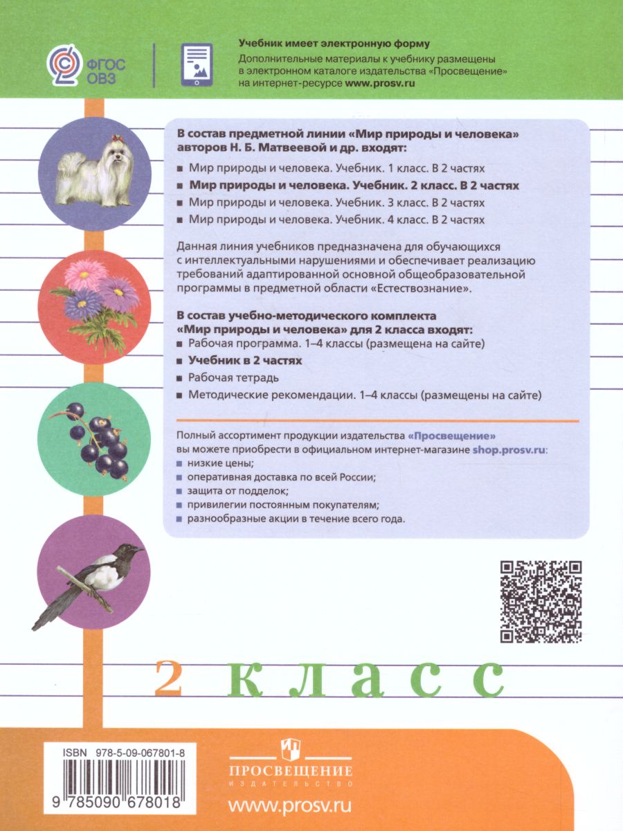 Обложка книги Мир природы и человека 2 класс. Учебник в 2-х частях. Часть 2 (для обучающихся с интеллектуальными нарушениями), Автор Матвеева Н.Б. Ярочкина И.А. Попова М.А., издательство Просвещение | купить в книжном магазине Рослит