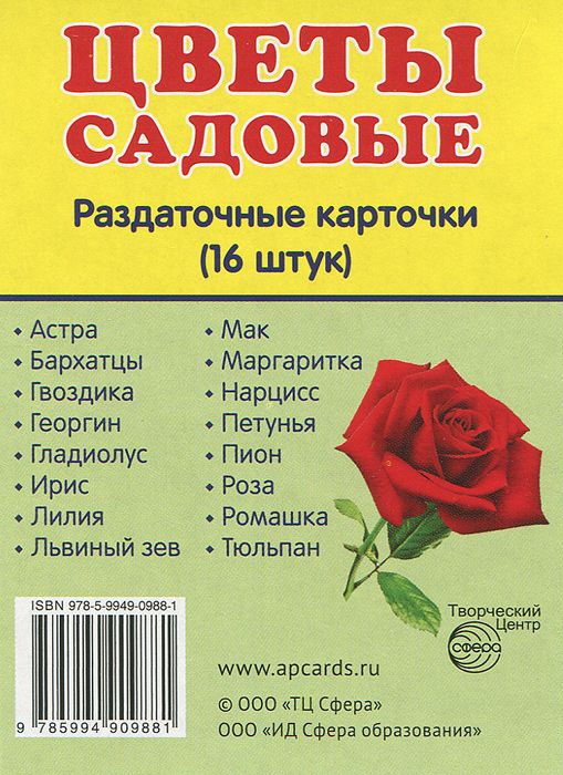 Обложка книги Демонстрационные картинки СУПЕР. Цветы садовые. 16 раздаточных картинок с текстом 63х87 мм, Автор , издательство Сфера | купить в книжном магазине Рослит
