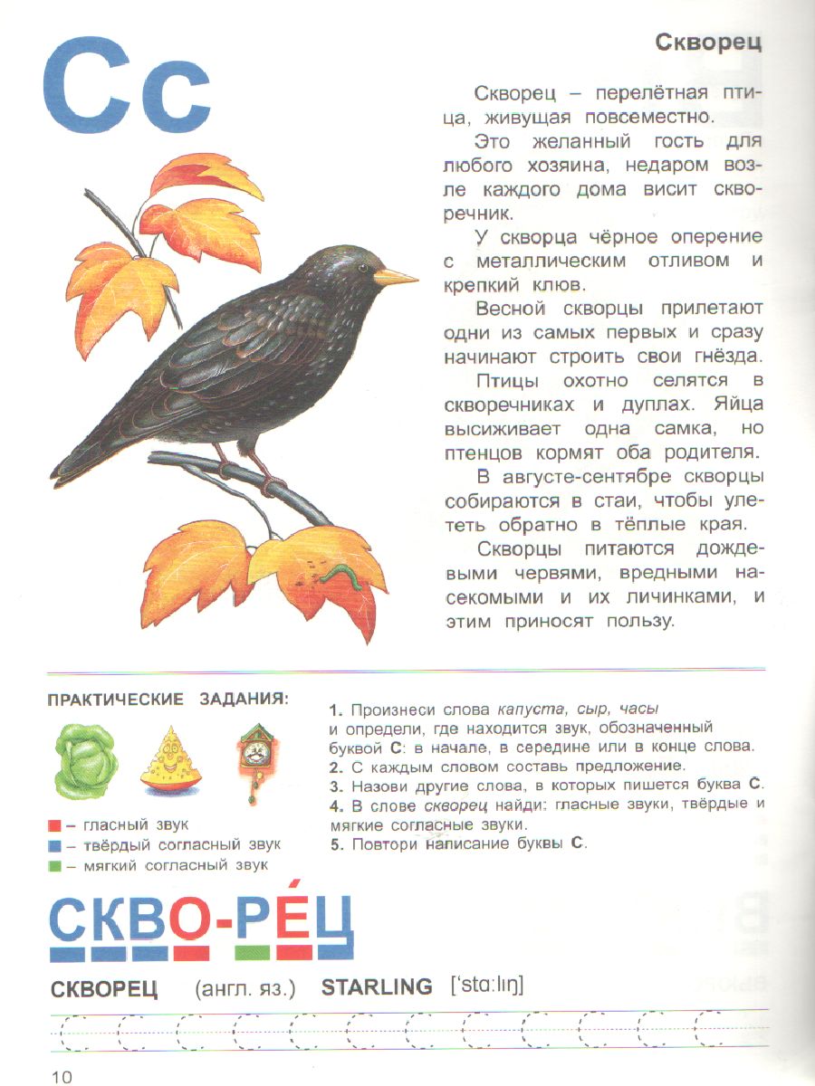 Обложка книги Тетрадь общения и развития детей "Перелетные птицы", Автор , издательство Страна фантазий | купить в книжном магазине Рослит