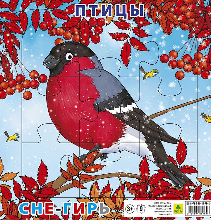 Обложка книги Пазл для малышей на подложке. Птицы. Снегирь (20х20 см, 9 элемента), Автор , издательство РУЗ Ко | купить в книжном магазине Рослит