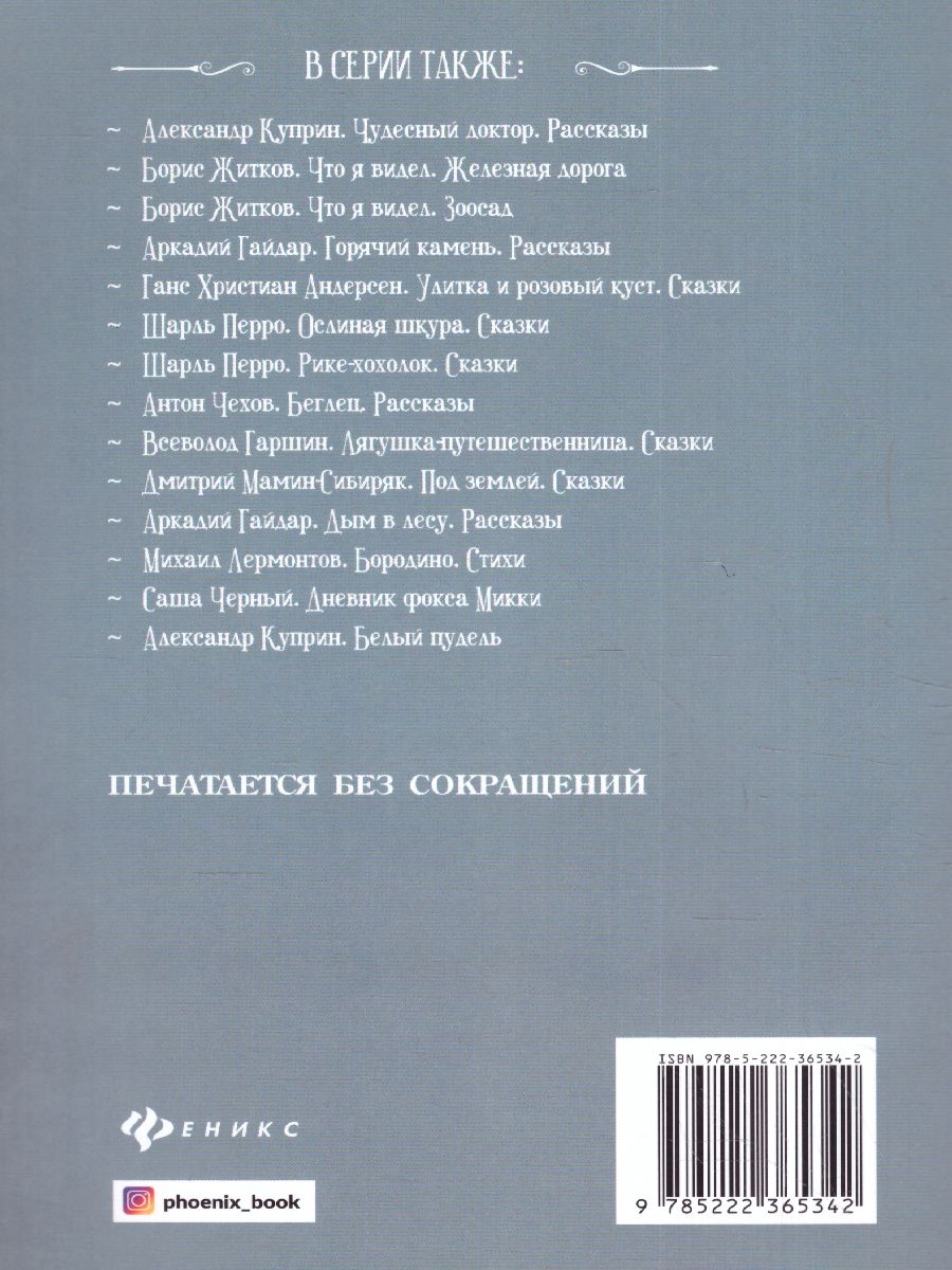 Обложка книги Сказки, Автор Пушкин А.С., издательство Феникс ТД                                          | купить в книжном магазине Рослит