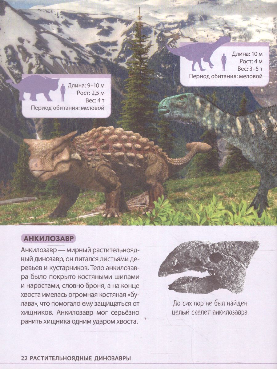 Обложка Детская энциклопедия "Удивительные динозавры", издательство Буква-Ленд                                         | купить в книжном магазине Рослит