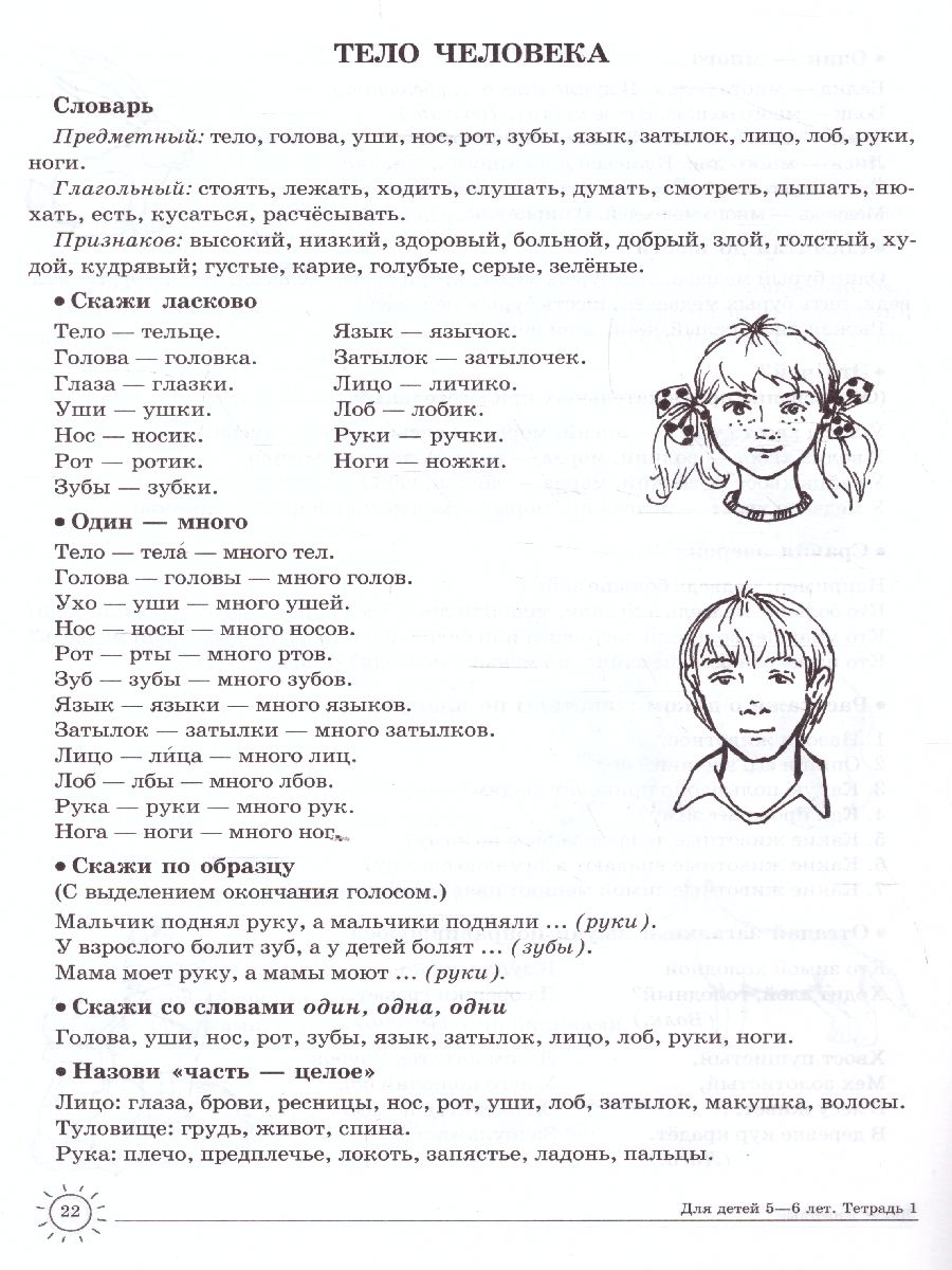 Обложка книги Домашняя логопедическая тетрадь. Учим слова и предложения. Тетрадь № 1 для детей 5-6 лет, Автор Сидорова У.М., издательство Сфера | купить в книжном магазине Рослит