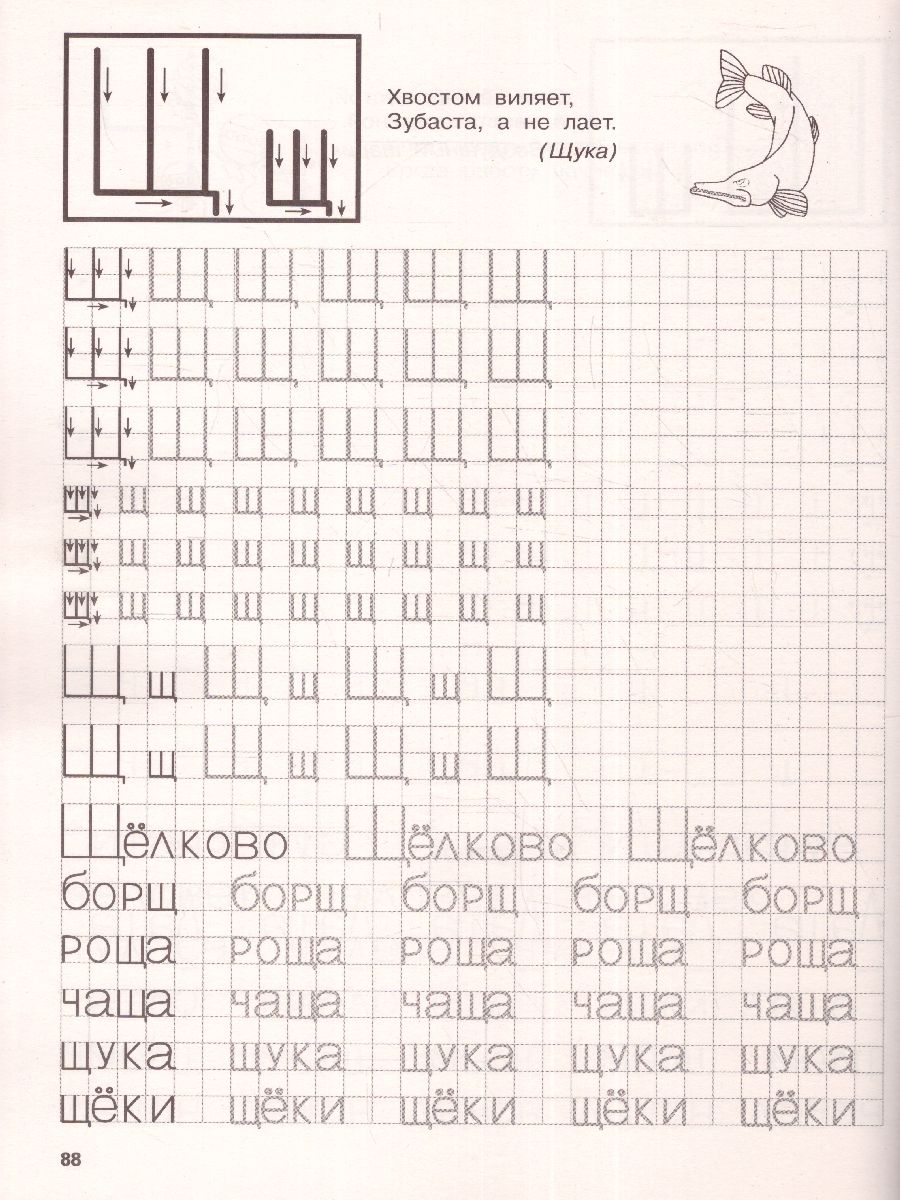 Обложка книги Готовим руку к письму. Супер большие прописи, Автор Дмитриева В.Г., издательство АСТ | купить в книжном магазине Рослит