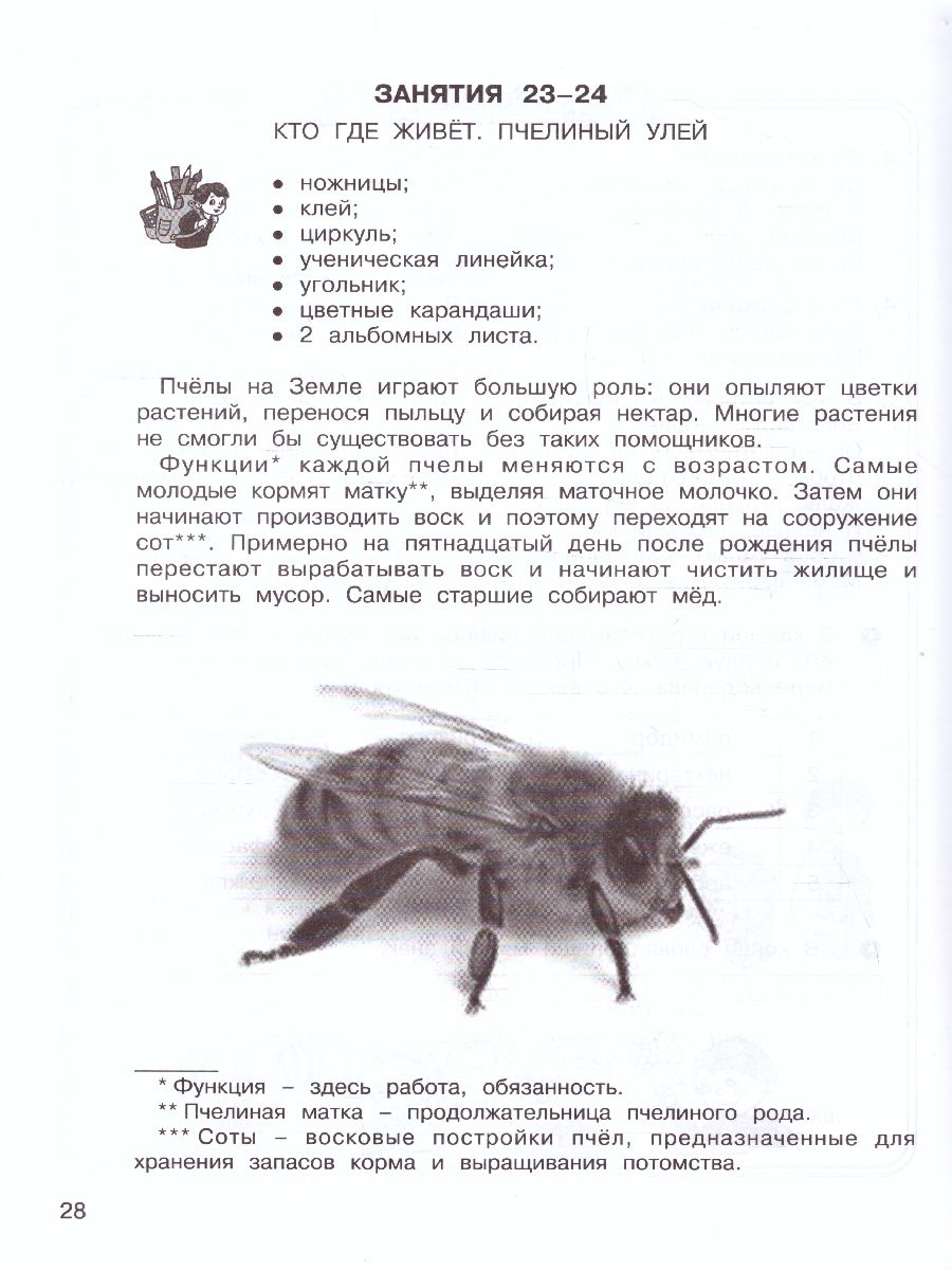 Обложка книги Мир моих открытий 4 класс. Межпредметный факультативный курс. Комплект: рабочие тетради в 2-х частях. ФГОС, Автор Дубова М.В. Маслова С.В., издательство Росткнига | купить в книжном магазине Рослит
