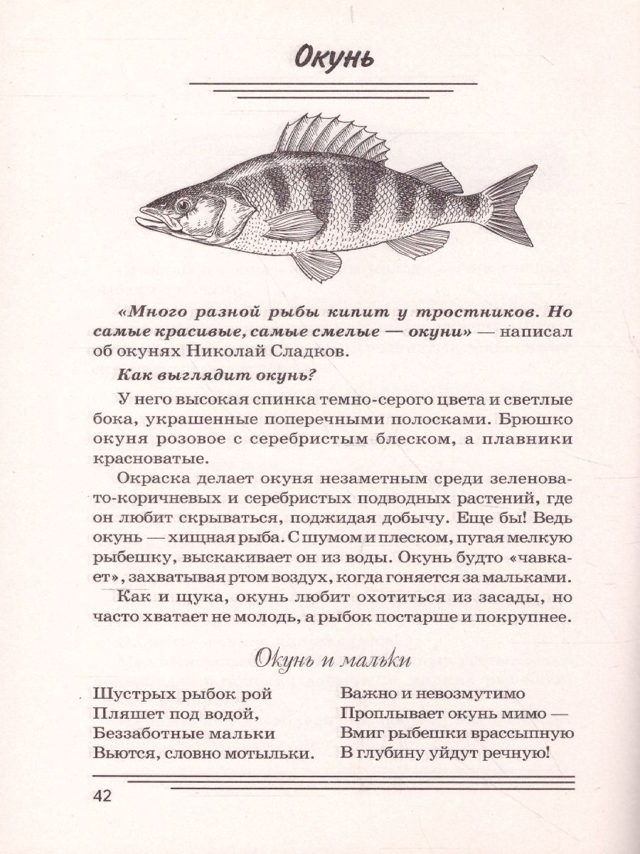 Обложка книги Рыбы. Какие они? Знакомство с окружающим миром. Развитие речи, Автор Шорыгина Т.А., издательство ГНОМ | купить в книжном магазине Рослит