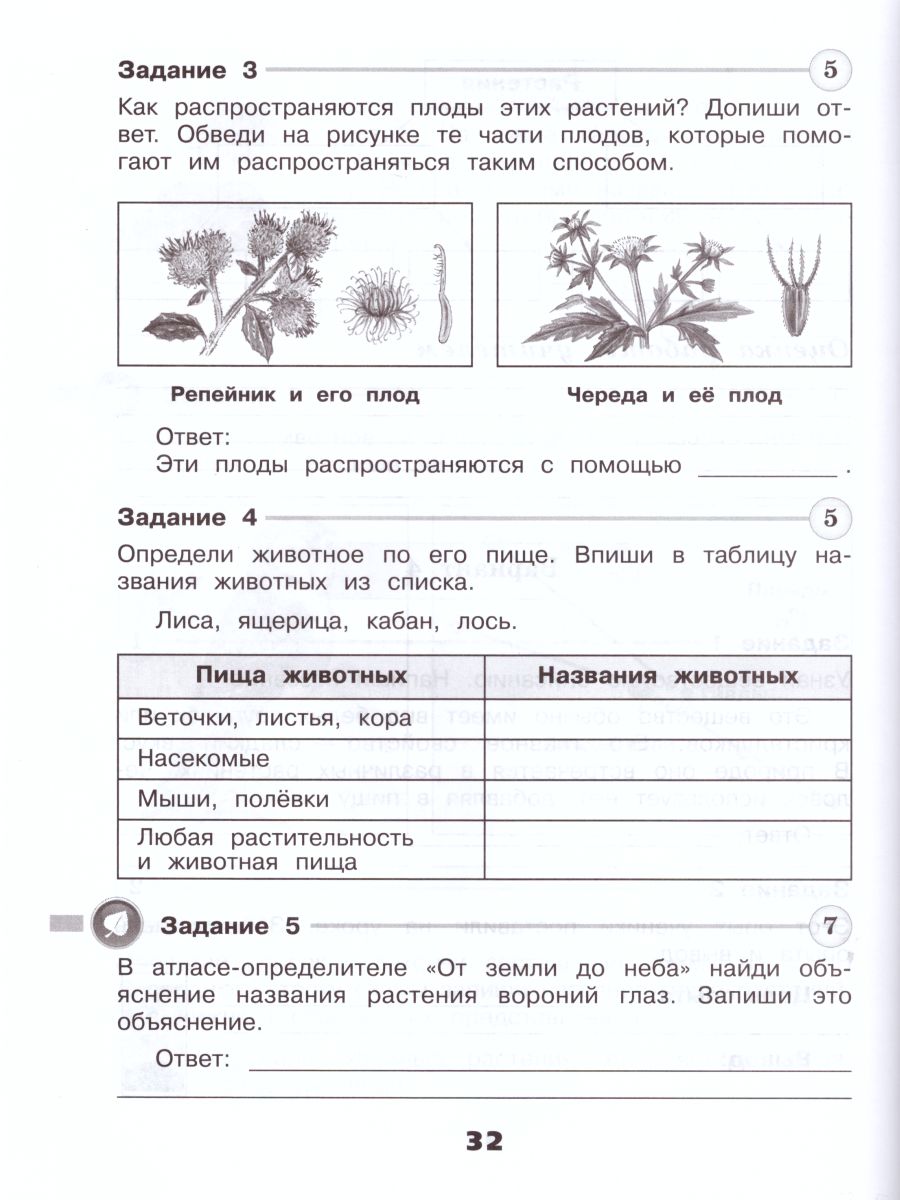 Обложка книги Окружающий мир 3 класс. Проверочные работы. УМК "Школа России", Автор Плешаков А.А. Плешаков С.А., издательство Просвещение | купить в книжном магазине Рослит