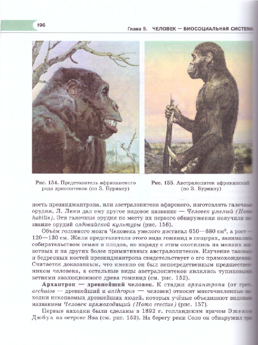 Обложка книги Биология 11 класс. Углубленный уровень. Учебник. ФГОС, Автор Теремов А.В. Петросова Р.А., издательство Мнемозина | купить в книжном магазине Рослит