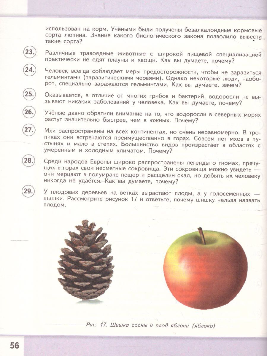 Обложка книги Биология 10-11 класс. Сборник задач и упражнений. Углубленный уровень, Автор Демьянков Е.Н. Соболев А.Н., издательство Просвещение/Союз                                   | купить в книжном магазине Рослит