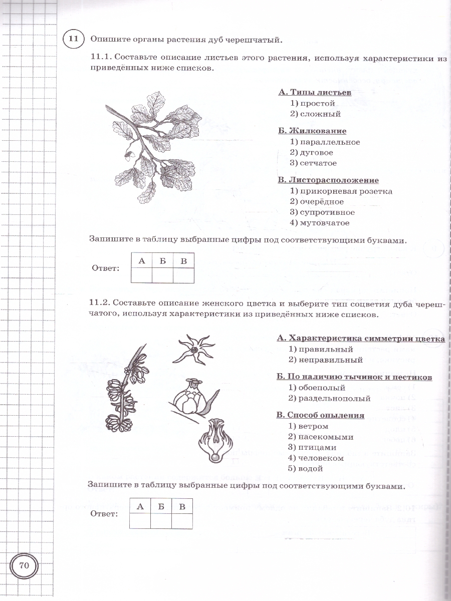 Обложка книги ВПР Биология 6 класс. Типовые задания. 10 вариантов. ФИОКО СТАТГРАД. ФГОС НОВЫЙ, Автор Иголкина Е.А.; Богданов Н.А., издательство Экзамен | купить в книжном магазине Рослит