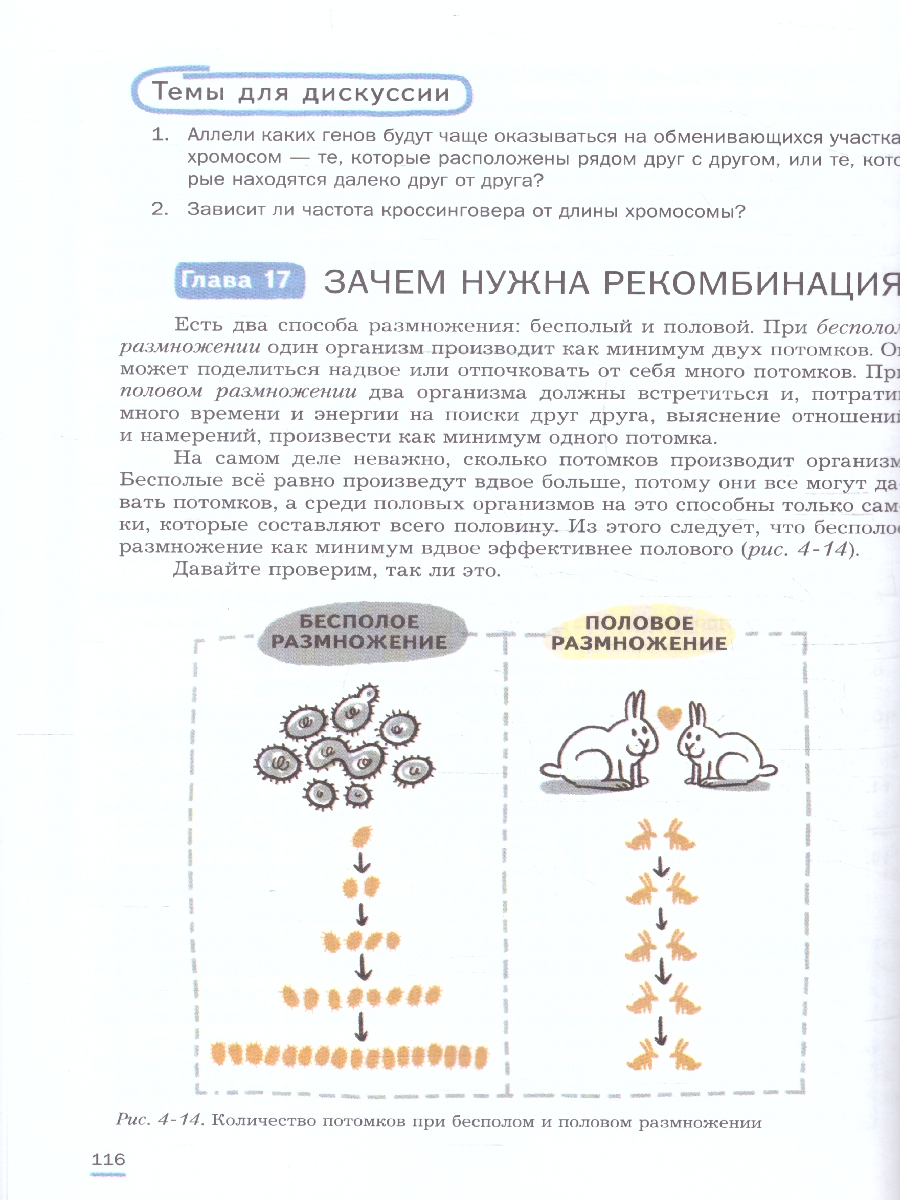 Обложка книги Биология 7-9 классы. Углублённый уровень. Практическая молекулярная генетика. Учебное пособие. ФГОС, Автор Аульченко Ю. С. Баттулин Н.Р. Бородин П.М., издательство Просвещение | купить в книжном магазине Рослит