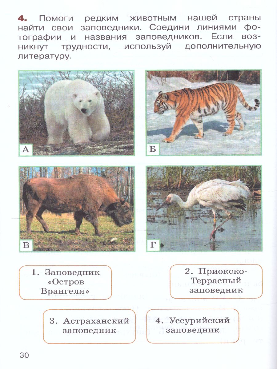 Обложка книги Окружающий мир. Переходим в 4-й класс. ФГОС. УМК "Школа России" (ФП2022), Автор Казанцева И.В. Архипова Ю.И. Глаголева Ю.И., издательство Просвещение | купить в книжном магазине Рослит