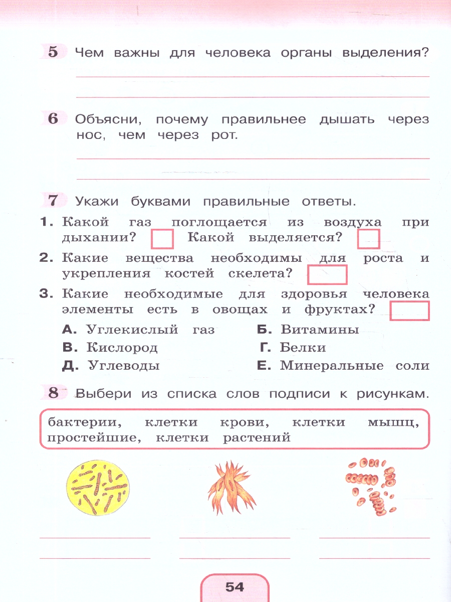 Обложка книги Окружающий мир 3 класс. Рабочая тетрадь  в 2-х частях. Комплект. ФГОС, Автор Поглазова О. Т. Шилин В. Д., издательство Просвещение/Союз                                   | купить в книжном магазине Рослит
