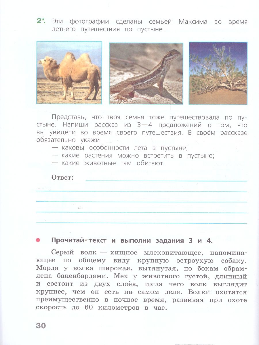 Обложка книги Готовимся к Всероссийской проверочной работе. Окружающий мир 4 класс. Рабочая тетрадь, Автор Демидова М. Ю., издательство Просвещение | купить в книжном магазине Рослит